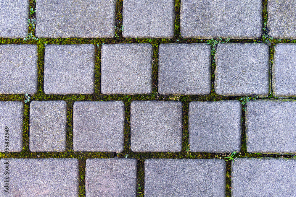 Cobblestone Pathway with Green Moss Between Stones. Aerial view of a cobblestone pathway with green moss growing between the stones, creating a charming and natural aesthetic. Cobblestone Pathway with Green Moss Between Stones. Aerial view of a cobblestone pathway with green moss growing between the stones, creating a charming and natural aesthetic.
