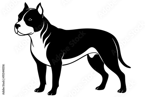 Staffordshire Bull Terrier Vector Illustration - Strong and Loyal Dog Clipart photo