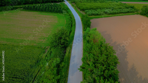 Aerial View of a Road Amidst Lush Greenery | Scenic Landscape

