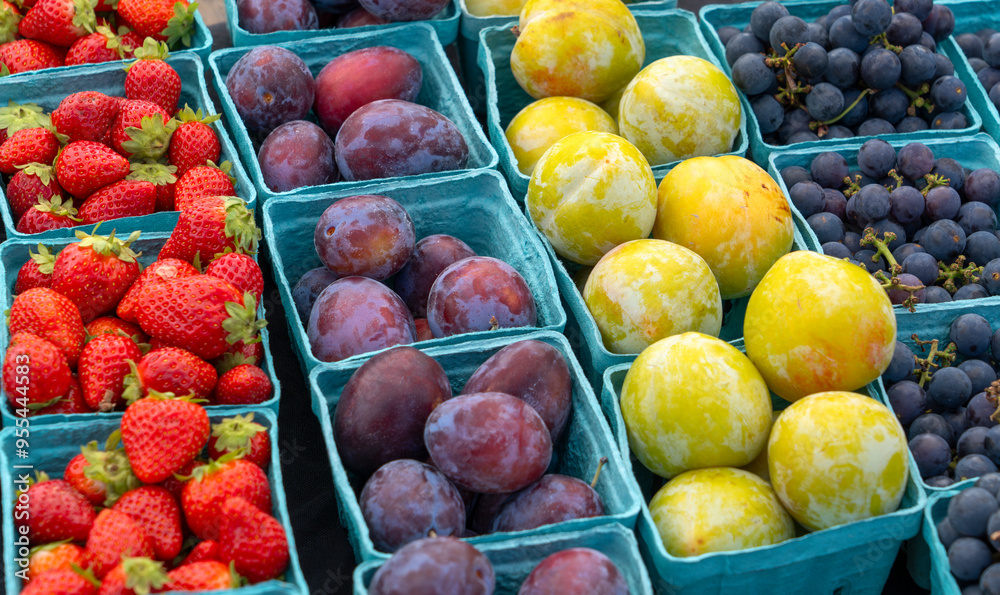 various colorful fruits in containers in farmer’s market various colorful fruits in containers in farmer’s market