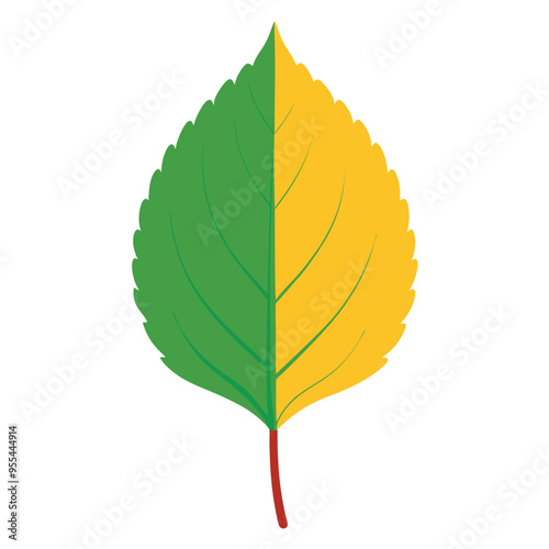 Elegant Aspen Leaf Vector Illustration