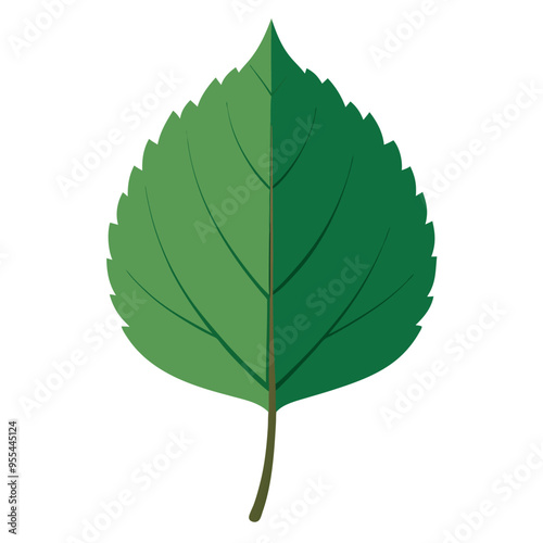 Elegant Aspen Leaf Vector Illustration