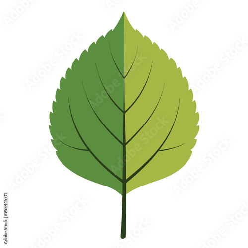 Elegant Aspen Leaf Vector Illustration