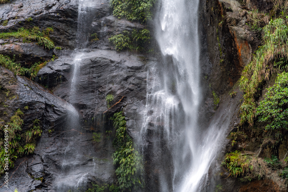 Beautiful waterfall in the middle of the jungles of Colombia surrounded by tropical vegetation and a feeling of peace Beautiful waterfall in the middle of the jungles of Colombia surrounded by tropical vegetation and a feeling of peace