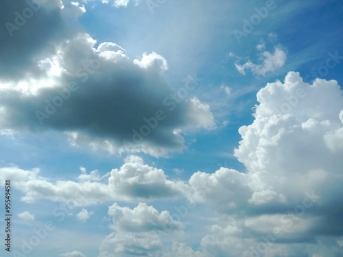 Blue sky and beautiful cloud with meadow tree. Plain landscape background for summer poster. The best view for holiday.