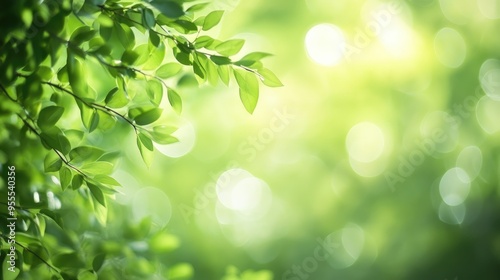 Fresh green background with a subtle bokeh effect, adding a touch of depth and sophistication