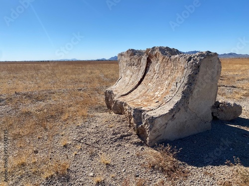 Desert Detritus photo