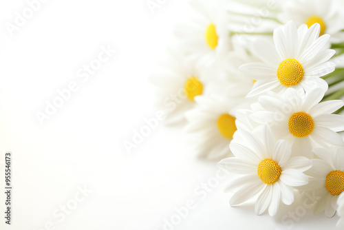 A beautiful bouquet of white daisies with yellow centers on a soft white background, creating a serene and peaceful floral composition.