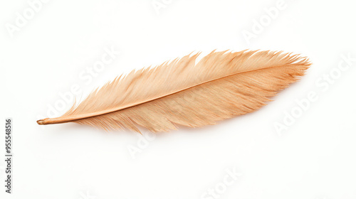 A single, delicate orange feather resting on a white background, showcasing its fine barbs and natural symmetry in close-up detail. photo