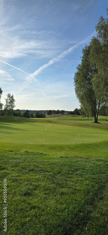 golf course with a green area, a hole, and a flagstick, surrounded by trees under a clear sky.
golf course with a green area, a hole, and a flagstick, surrounded by trees under a clear sky.