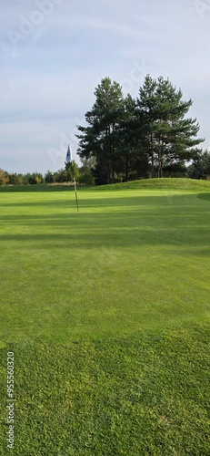 golf course with a green area, a hole, and a flagstick, surrounded by trees under a clear sky. 