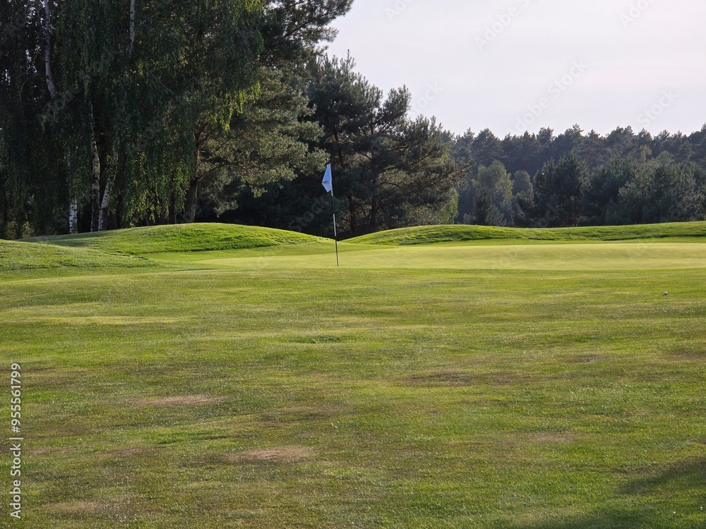 golf course with a green area, a hole, and a flagstick, surrounded by trees under a clear sky.
golf course with a green area, a hole, and a flagstick, surrounded by trees under a clear sky.