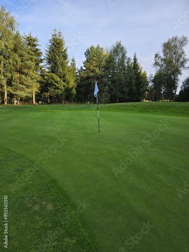 golf course with a green area, a hole, and a flagstick, surrounded by trees under a clear sky.
