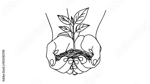 hands holding plant ecology line art illustration
