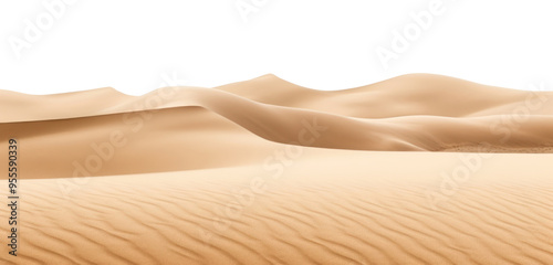 PNG Sand dunes desert border backgrounds outdoors nature.