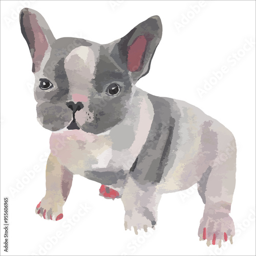  Watercolour painting dog on white background , vector print, bulldog puppy.