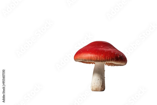 Single red mushroom, cap centered, stalk slightly off-center, isolated on a stark white background, minimalist composition, studio lighting, shadow beneath for depth