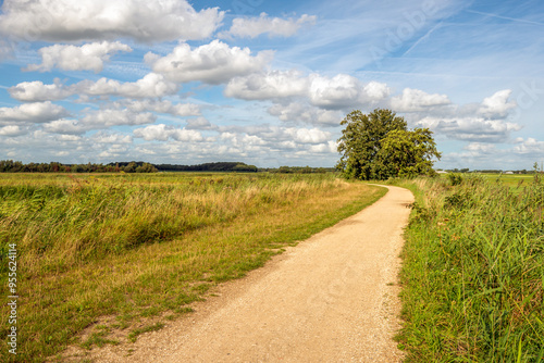 Obraz na płótnie Bend in an unpaved cycle and walking path in a Dutch nature reserve. The photo was taken on a beautiful summer day with white cumulus clouds in the blue sky. w salonie