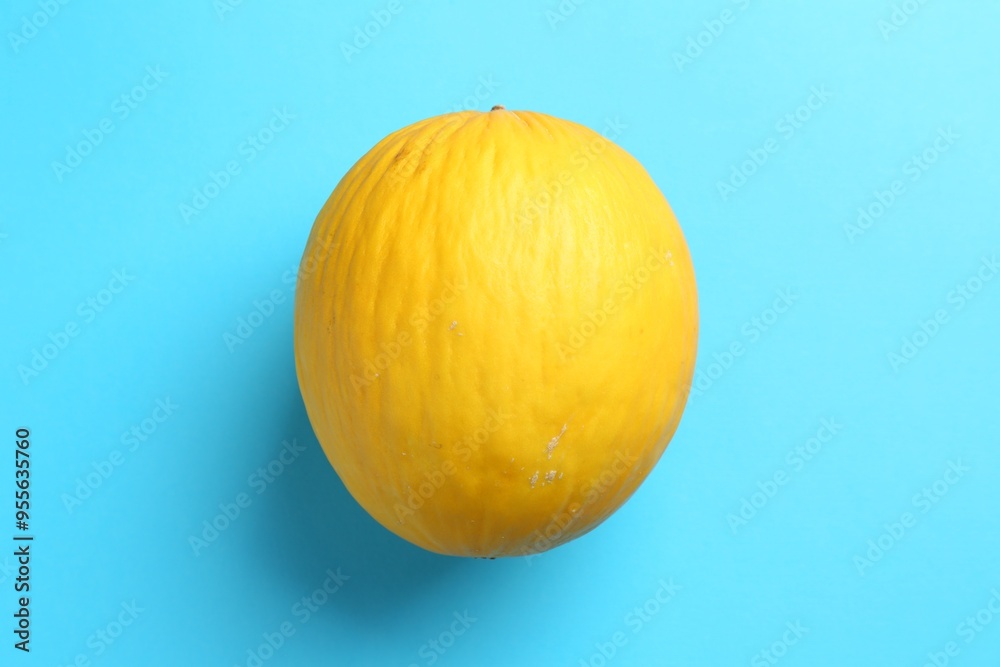 One fresh melon on light blue background, top view One fresh melon on light blue background, top view