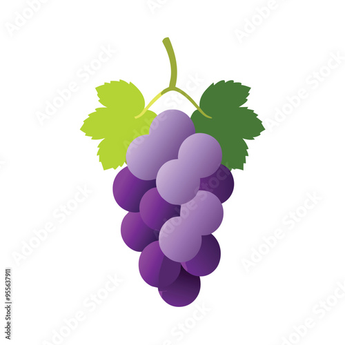 Juicy Grapes , vector silhouette illustration clipart, isolated white background