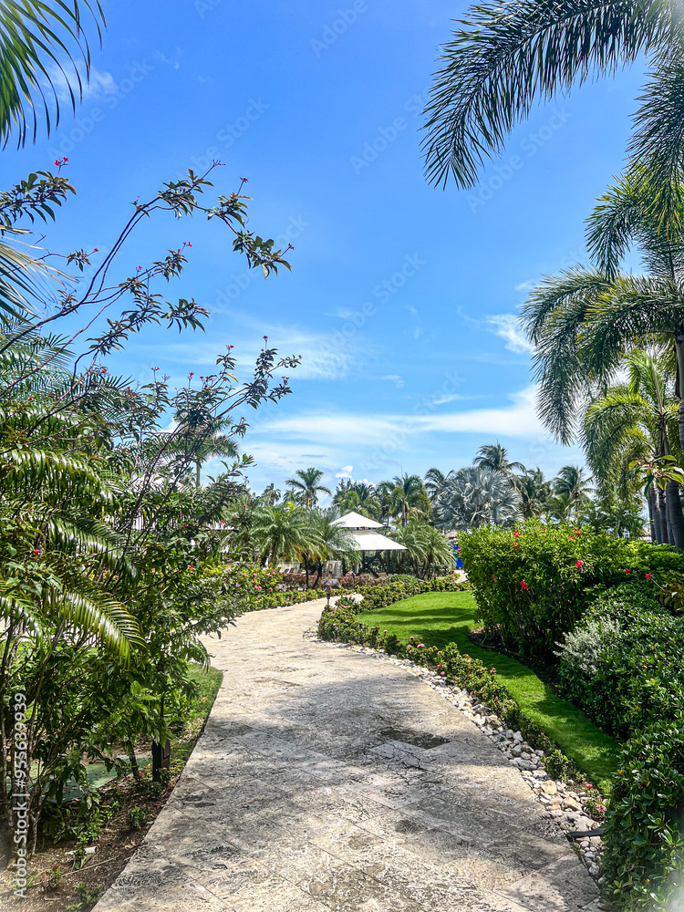 Fototapeta premium palm trees in jamaica
