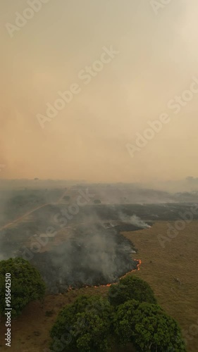 Apuí, Amazonas: Imagens Aéreas Exclusivas das Queimadas que Lideram o Desmatamento na Amazônia em 2024 – Capturadas por Drones, Revelando a Devastação e Impactos Ambientais photo