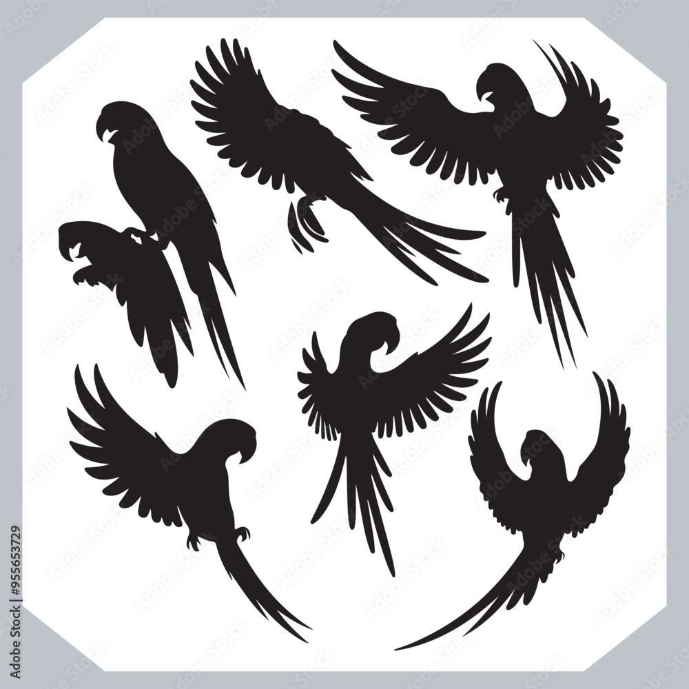 Parrot silhouette vector art illustration, bird parrot logo tropical bird logo icon Parrot silhouette vector art illustration, bird parrot logo tropical bird logo icon