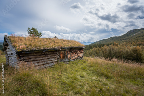 Side view of old wooden house with grass roofing in norwegian wood landscape