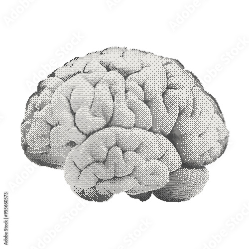 Human brain. Collage cutout element for scrapbook, poster, t-shirt. Vector monochrome sticker in a surreal bitmap style with dotted photocopy texture.