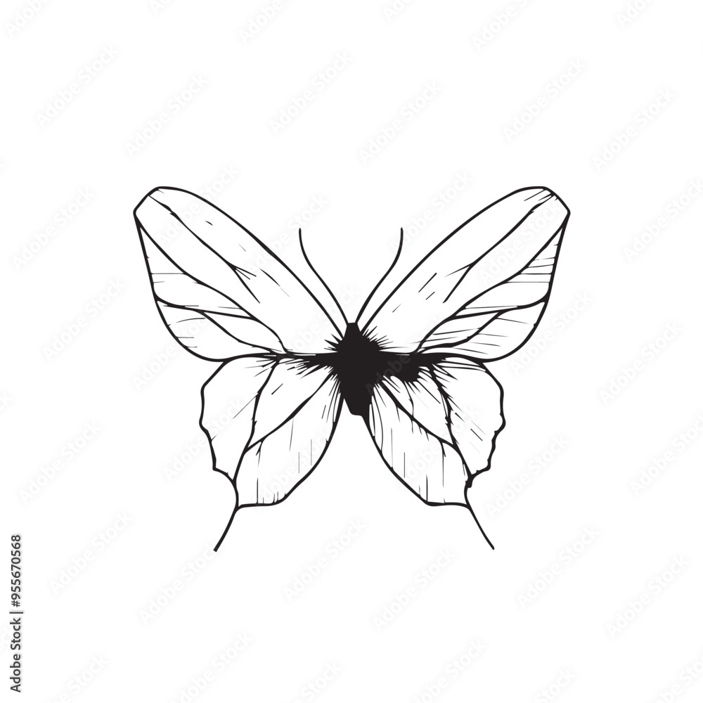 Butterfly in cartoon, doodle style . Image for t-shirt, web, mobile apps and ui. Isolated 2d vector illustration in logo, icon, sketch style, Eps 10, black and white. AI Generative Butterfly in cartoon, doodle style . Image for t-shirt, web, mobile apps and ui. Isolated 2d vector illustration in logo, icon, sketch style, Eps 10, black and white. AI Generative