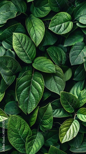 Close-up of a tiny leaf wall, overlapping leaves creating a dense, textured surface, rich greens perfect for eco-friendly themes.