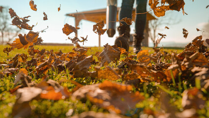 LENS FLARE, DOF: Woman clearing autumn leaves from the garden with an electric and portable leaf blower. Dry brown foliage flies across sunlit grass towards the camera. Garden cleanup in fall season.