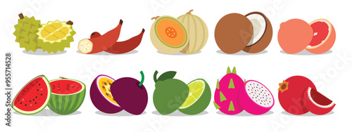A set of Split Fruits, Durian, Red Banana, Cantaloupe, Melon, Coconut, Grapefruit, Watermelon, Passion Fruit, Sweet lime, Green lemon, White Dragon fruit, Pomegranate, simple flat vector illustration.