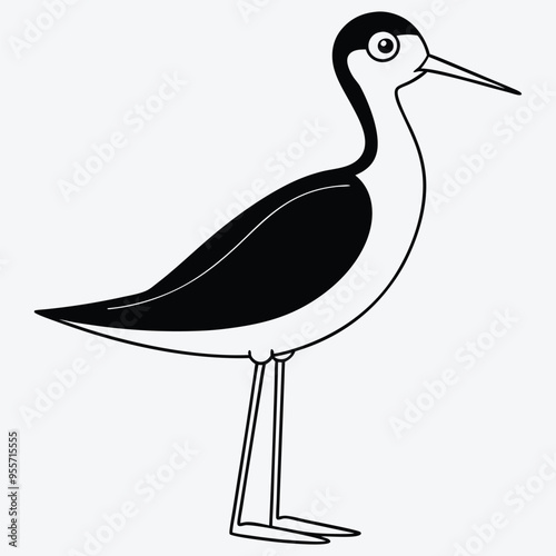 Elegant Black-Necked Stilt Bird Standing  Exquisite Line Art Design