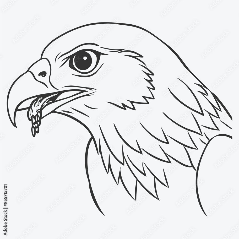Fototapeta premium Elegant Black Kite Bird Line Art , Detailed and Graceful Illustration 