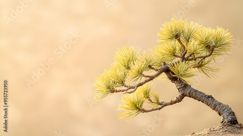 Vibrant Yellow Pine Tree Branches in Autumn Landscape photo