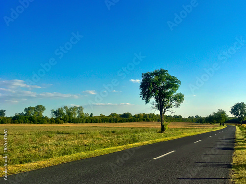 A perfectly smooth asphalt road goes into the distance between green fields. Trees and a blue sky with clouds in the background. No one around. Traveling around Europe on a motorcycle.