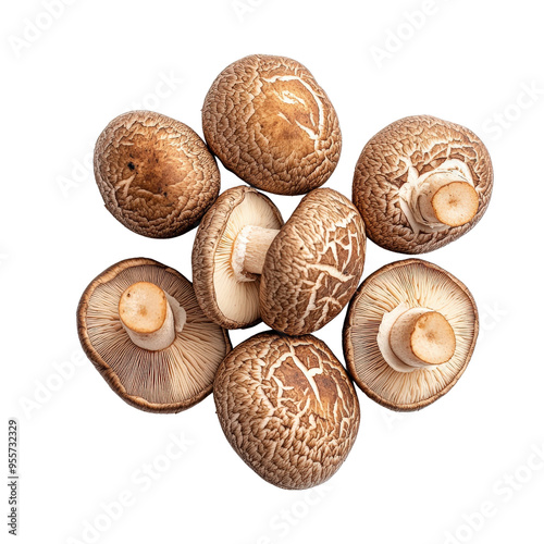 Close-up shot of fresh shiitake mushrooms on a black background. The mushrooms are arranged in a circular pattern.