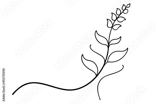  Line Drawing of Snapdragon Flower with Branch Detailed Vector 