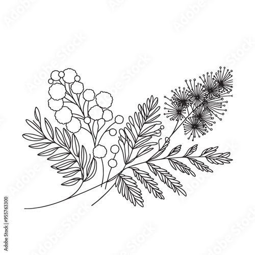 sea buckthorn bouquet vector illustration one line