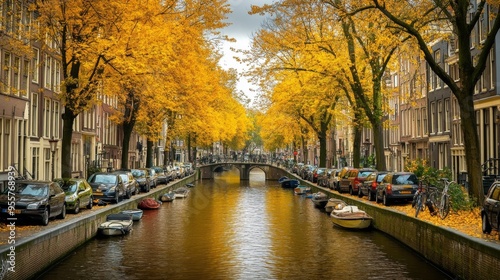 Autumn Serenity in Amsterdam