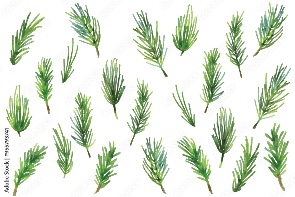 Set with green pine leaves and branches pattern. Watercolor pine leaves winter pattern Isolated on white background vector illustration set. Set with green pine leaves and branches pattern. Watercolor pine leaves winter pattern Isolated on white background vector illustration set.