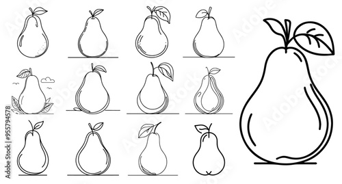 collection of pear drawings with line art technique black vector