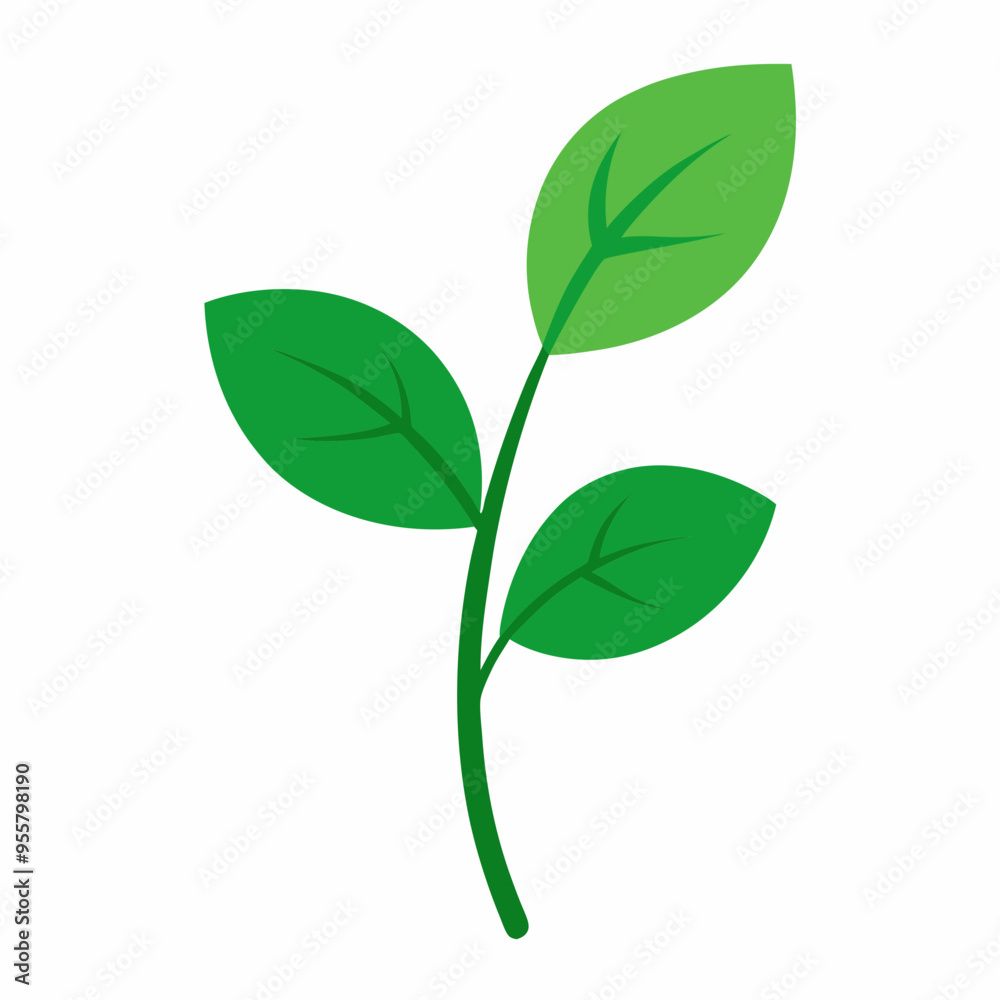 green leaf isolated on white background green leaf isolated on white background