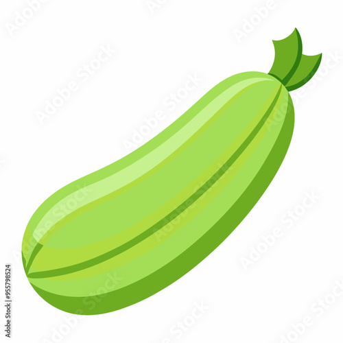 illustration of a cucumber