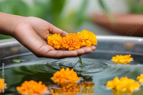 Indian woman dressed in Hindu traditional clothes washing marigold flowers in water for decoration house or temple. Indian religious ritual. Hindu Puja. Festival Vishu, Ugadi, Gudi Padwa, Diwali photo