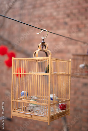Obraz na płótnie Birds living in a cage w salonie