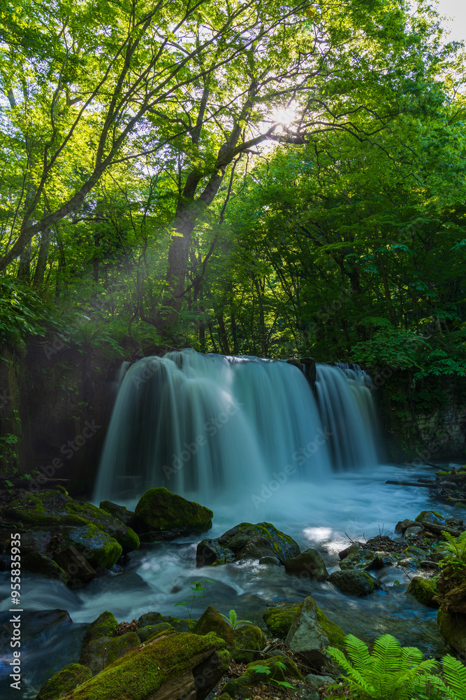 Naklejka premium 日本の風景・春 青森県十和田市 新緑の奥入瀬渓流 銚子大滝