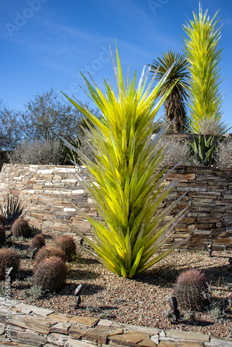 Phoenix Botanical Gardens