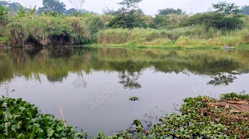 A lake with the reflection of grass and water hyacinth plants growing at the edge in Bandung, Indonesia. photo